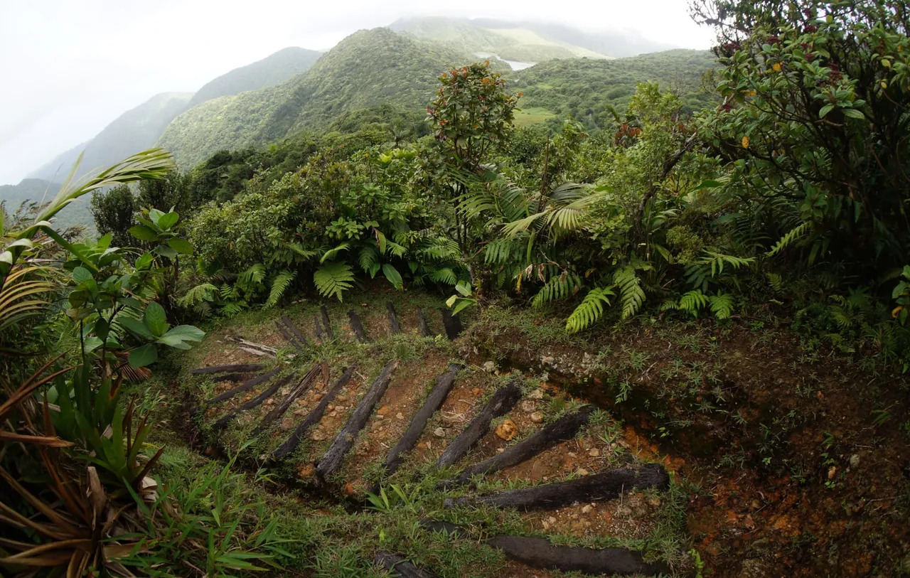 Aerial view of Dominica's World Heritage rainforest