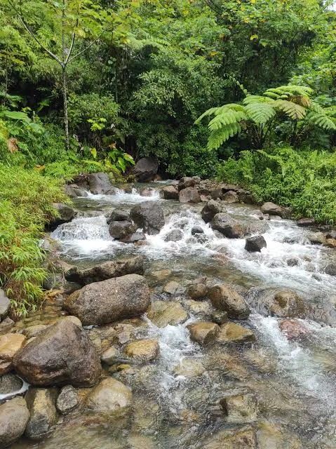 Breakfast River
