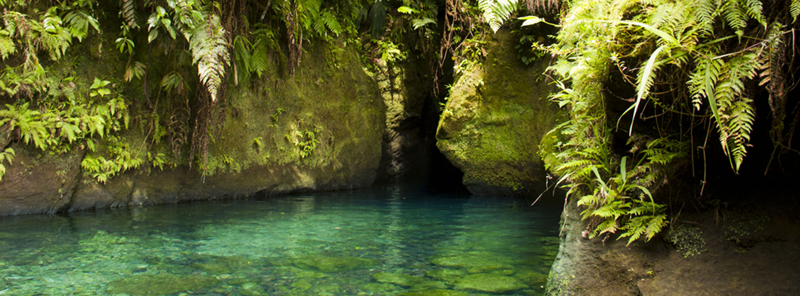 River Gorge - Dominica