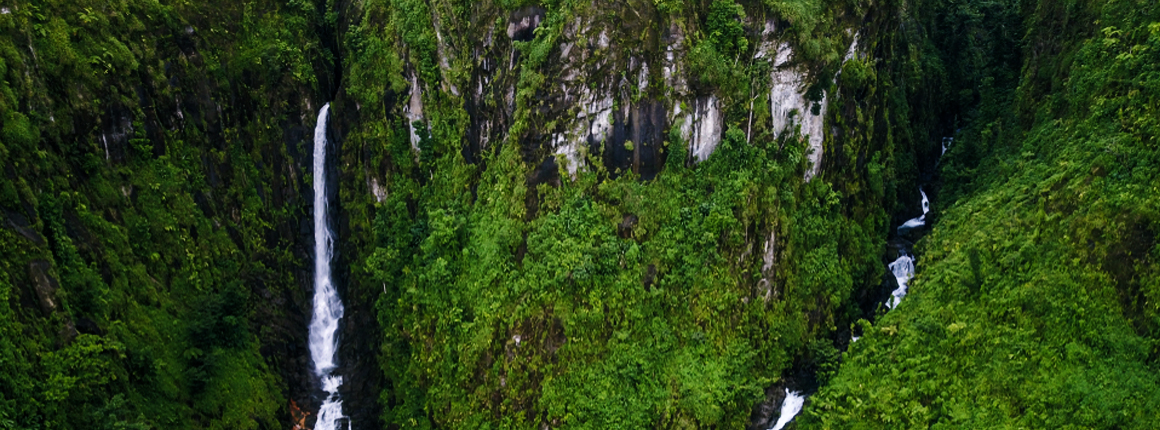 Trafalgar Falls - Dominica