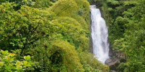 Things to do in Dominica
