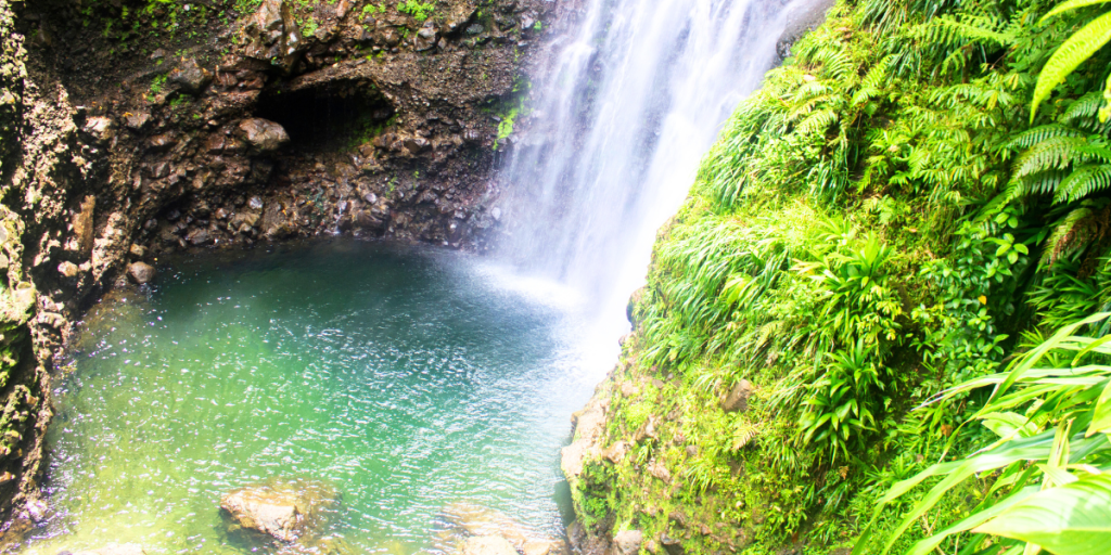 Top Dominica Tourist Attractions